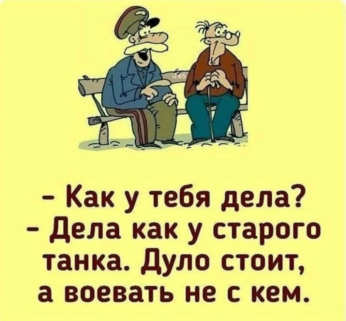 Как дела лучше всех. Приколы про дела. как дела картинки прикольные. ответ с юмором. шутки про дела.