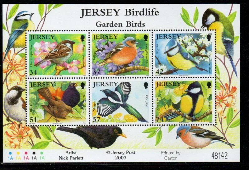 Jersey bird. Коллекционер птиц. garden birds.