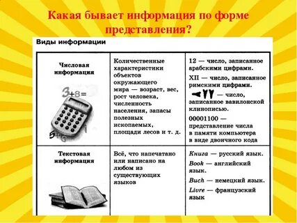 В каком виде можно представить информацию