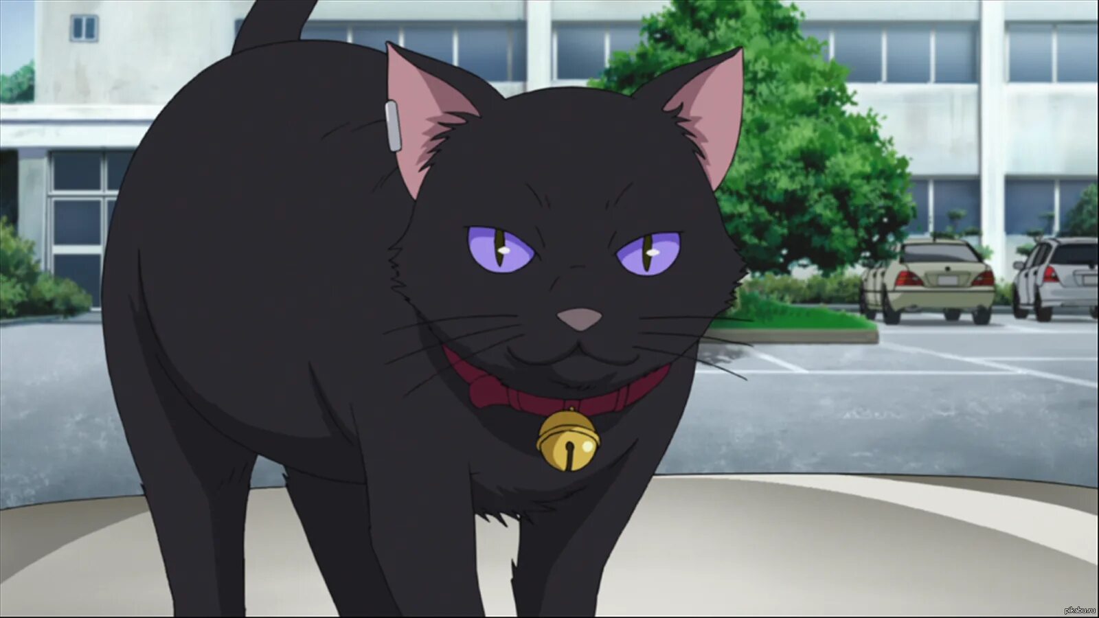 X3d animation black cat