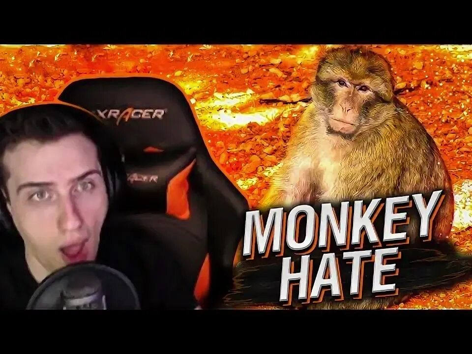 Monkey hate telegram. Деловая обезьяна. Стример анна мяу. Логотип манки. Маленькая макака хейт манки.