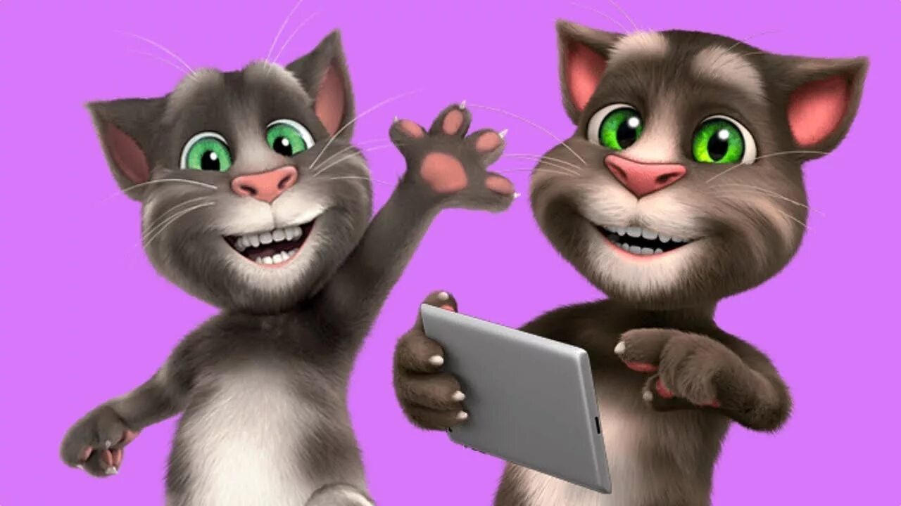 Бестолковый говорящий. Talking Tom. Talking Tom игры. Talking Tom 2. Talking Tom 2010.