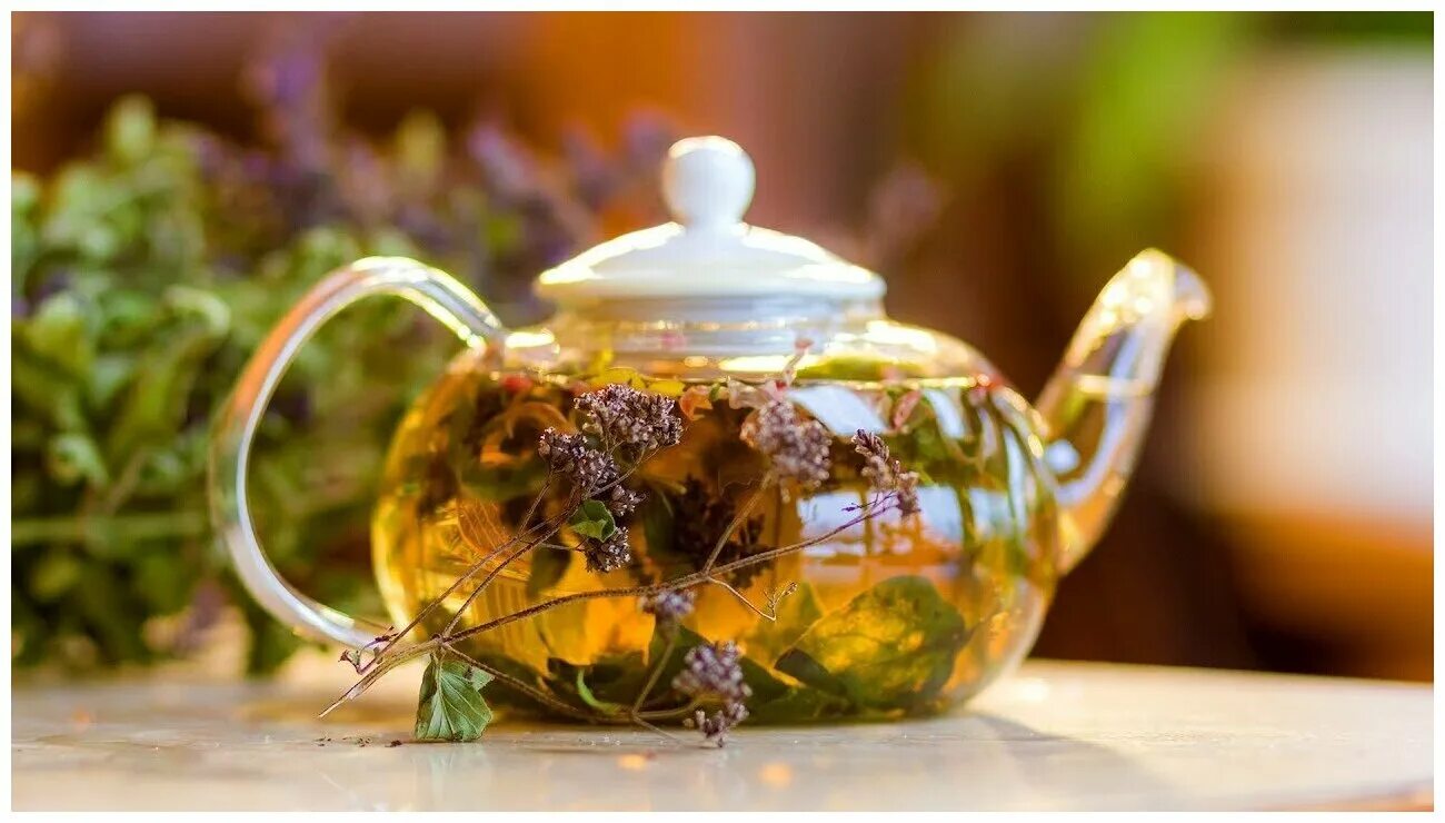 Растения для заварки. Травяной чай. Чайник с чаем. Ароматный чай. Чай из трав.