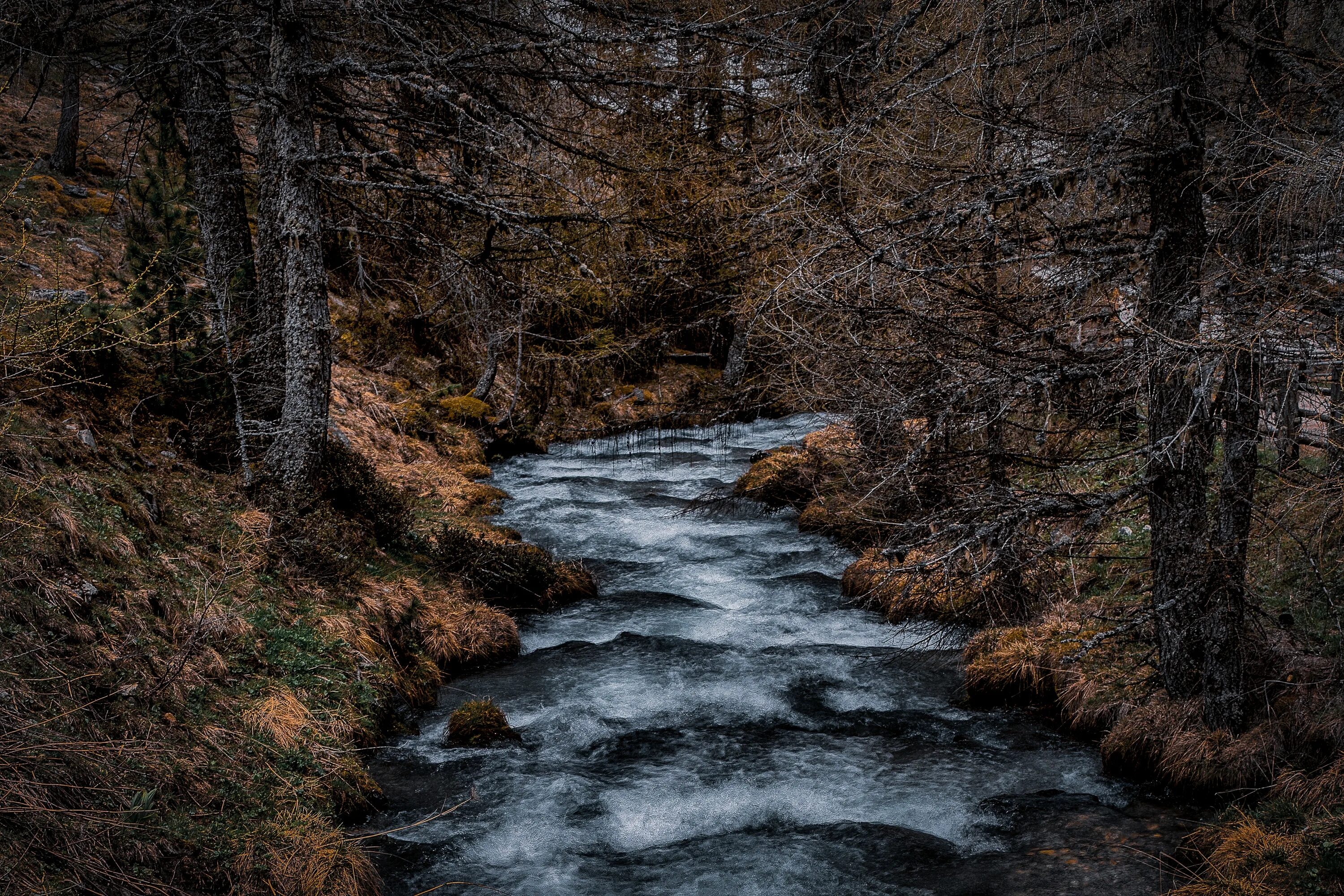 River soon. River soon. Чистая речка. Река иинка. Разные реки.