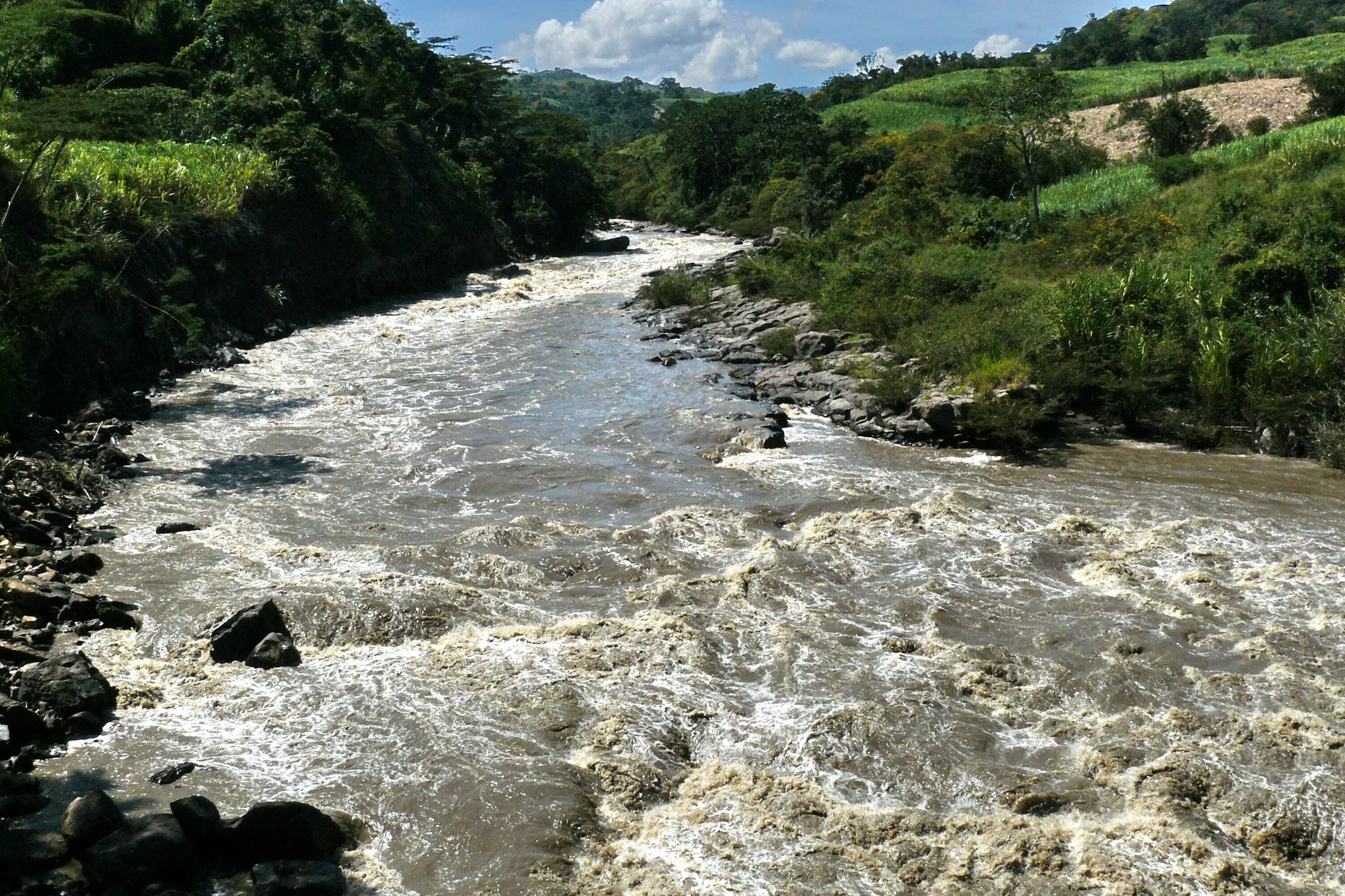 Река магдалена. Река Магдалена в Колумбии. Магдалена (река) реки Колумбии. Исток реки Магдалена. Магдалена река в Южной Америке.