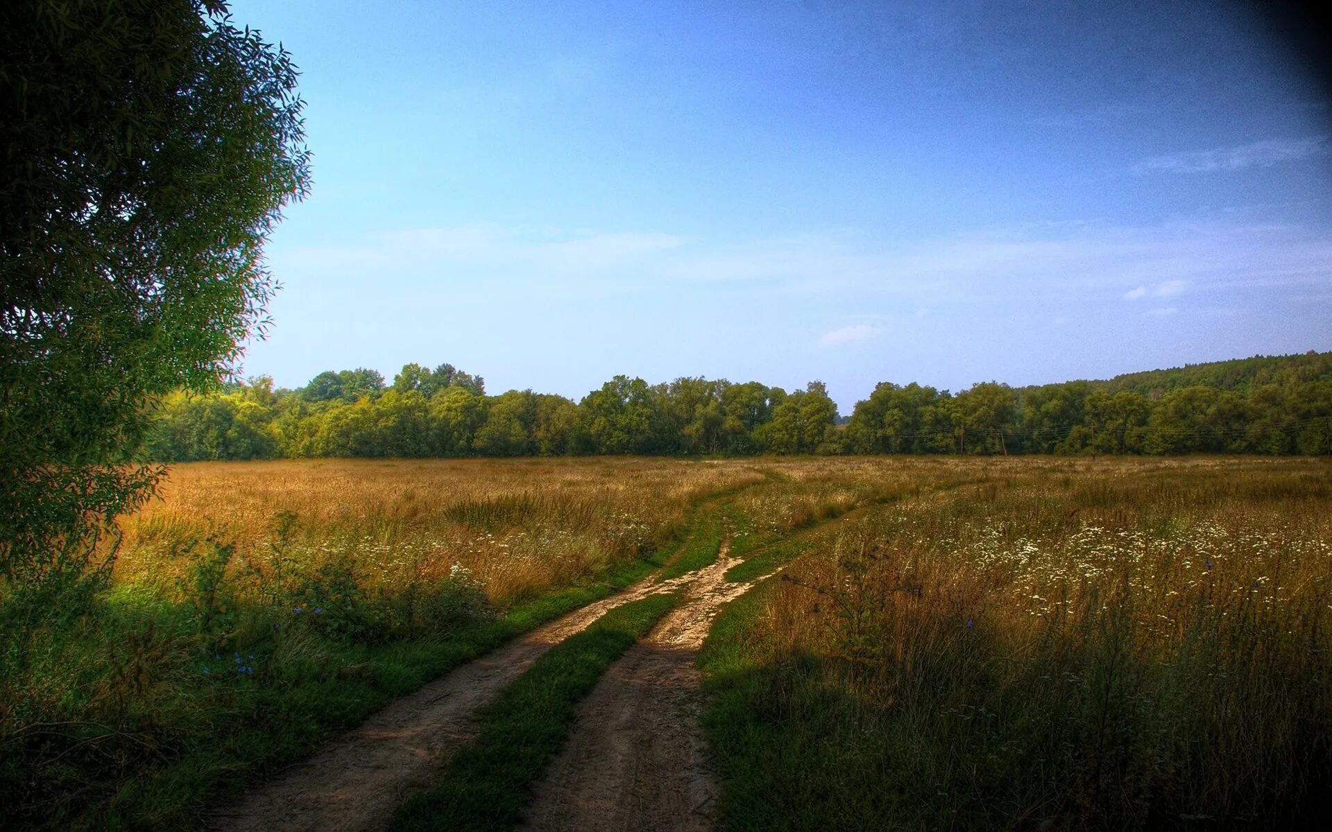 Обои плохого качества. Деревня природа Проселочная дорога. Проселочная дорога пейзаж. Дорога в деревне. Сельская дорога.