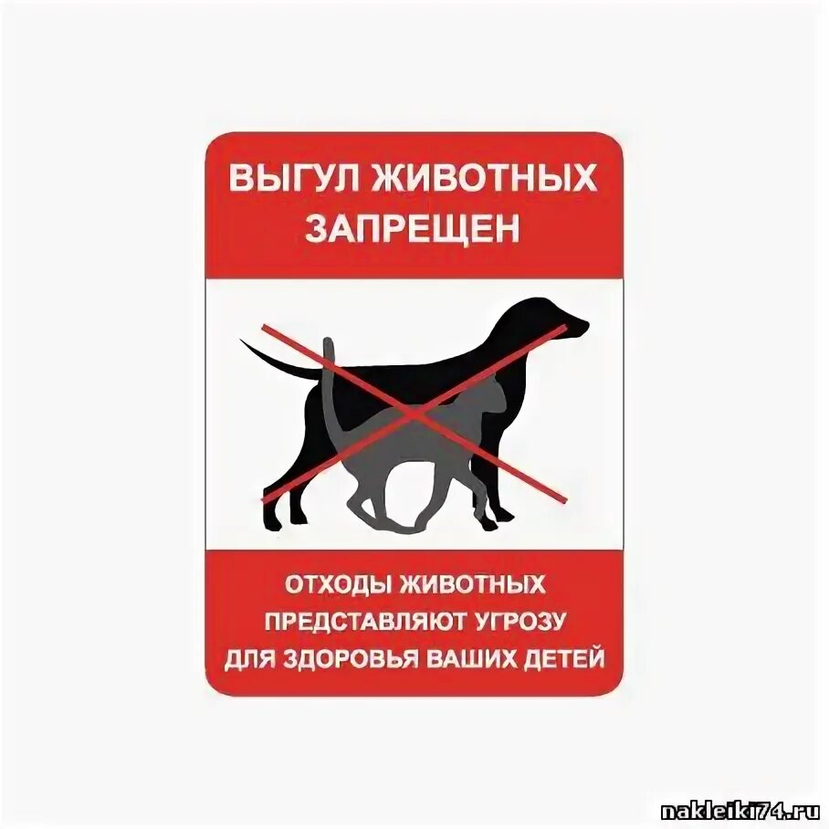 Список собак запрещенных выгулу. Список собак запрещенных выгулу