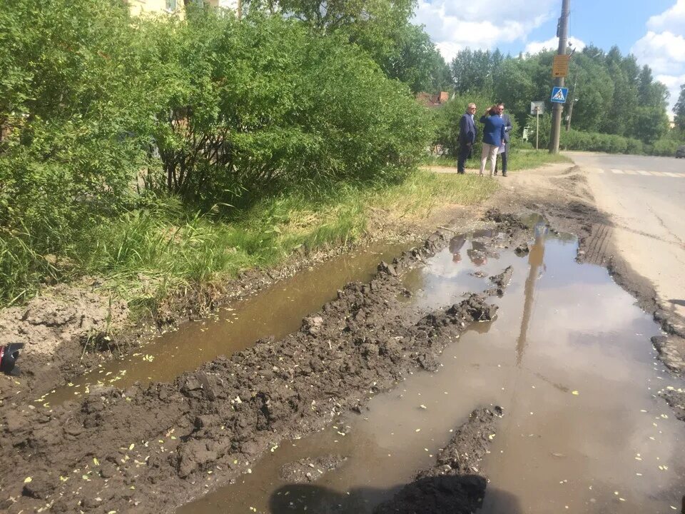 Сокольская дорога. Шомохта нижегородская область. Сокольская дорога. Погода горчуха. Чекшино вологодская область поселок.
