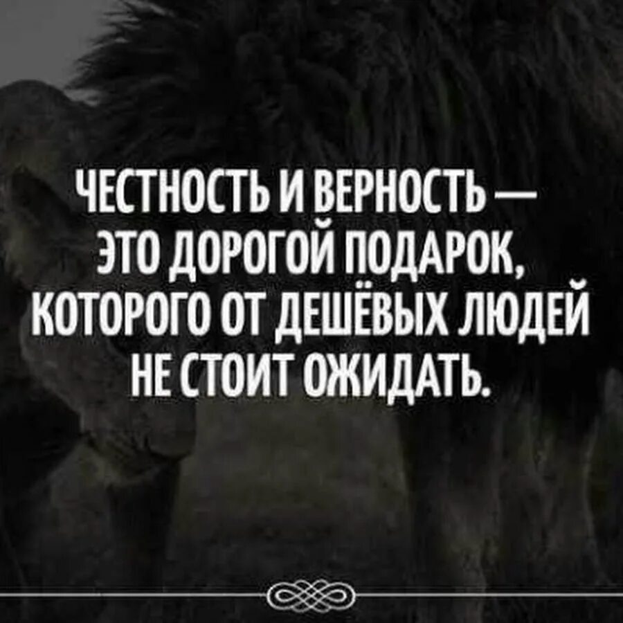 Честность и верность это дорогой подарок. Верность фразы. Фразы о верности и преданности. Цитаты про верность. Признак верности