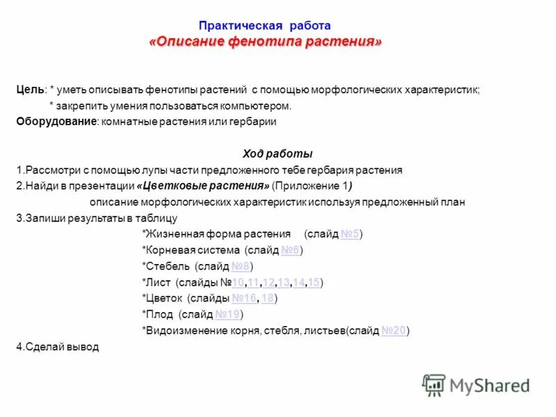 Лабораторная работа по биологии 10 класс пример. Лабораторная описание фенотипов растений 9 класс. Лабораторная работа выявление изменчивости организмов. Лабораторная выявление изменчивости у особей одного вида. Лабораторная работа номер 9 биология 10 класс.