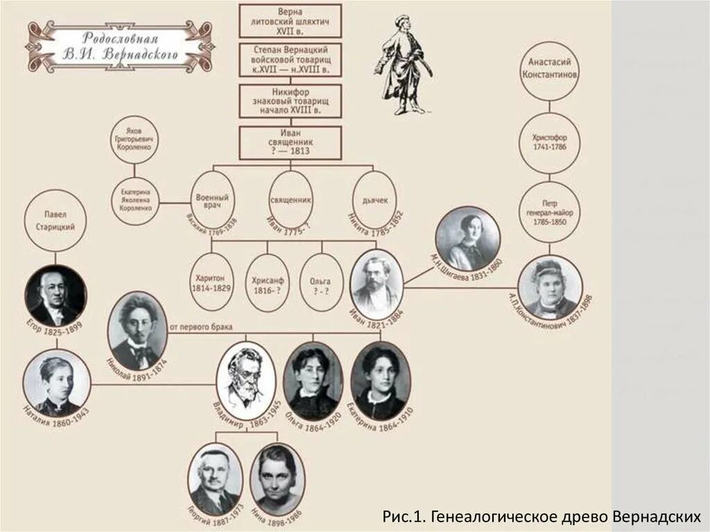 Генеалогическое древо михалковых кончаловских. Генеалогическое древо михалковых кончаловских