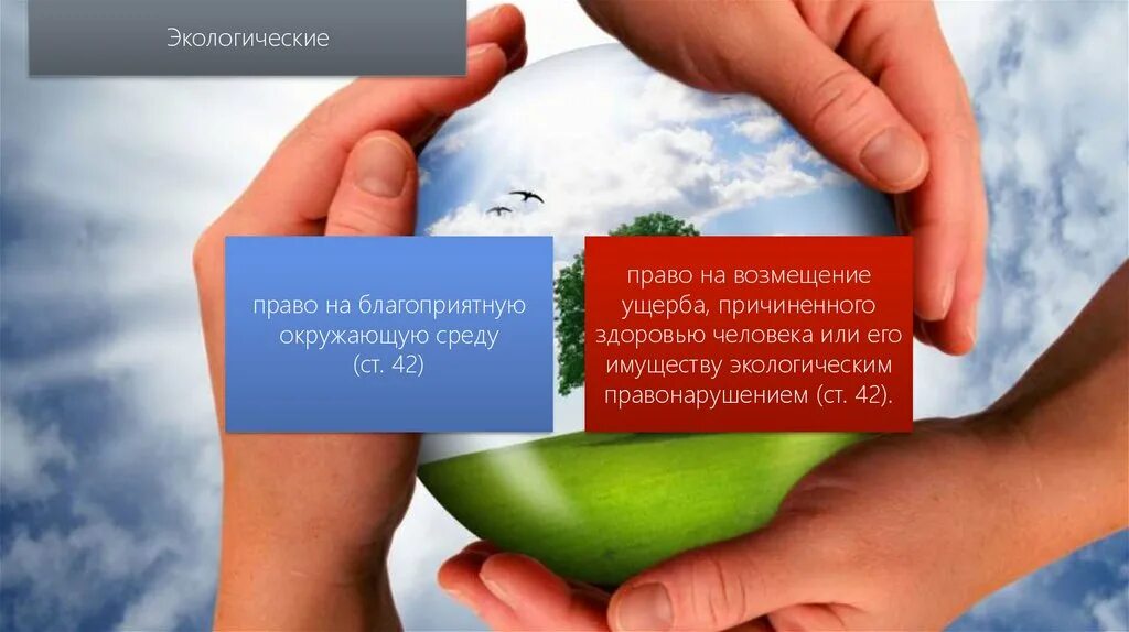 Право граждан рф на благоприятную среду. Право на благоприятную окружающую среду. Экологические свободы человека. Право каждого на благоприятную окружающую среду. Право на благоприятную среду.