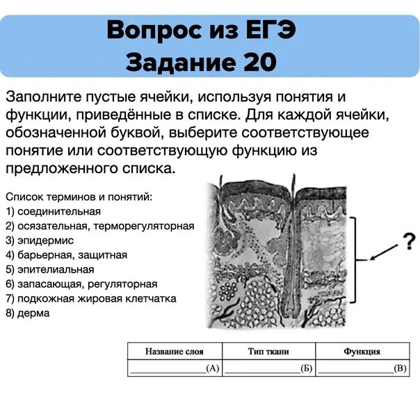 11 задание егэ биология. Вопросы ЕГЭ биология. ЕГЭ по биологии задания. Вопросы по биологии ЕГЭ. Сложные вопросы ЕГЭ по биологии.