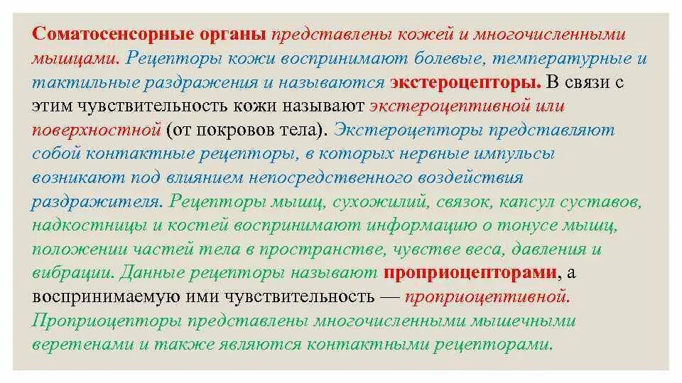 Соматическая температура. Соматосенсорная сенсорная система. соматосенсорная система кратко. соматическая сенсорная система тактильная. соматосенсорная система рецепторы.