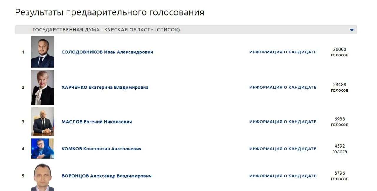 Как включить себя в список голосования. Предварительные итоги голосования. Предварительное голосование Единая Россия. Предварительное голосование Результаты Единая Россия. Ростовская область голосование Единая Россия.