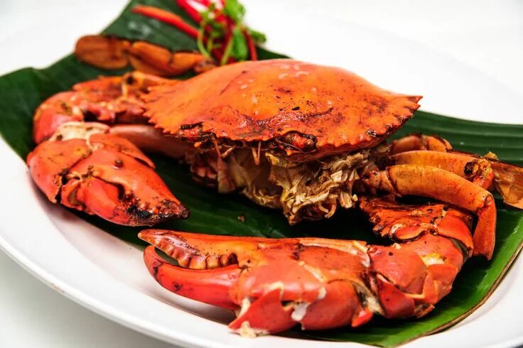 50 Best Healthy Indian Food Recipes With Pictures Joes crab shack recipe, Joe cr