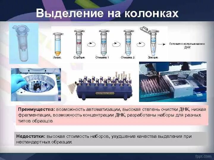 Процесс выделения днк. Выделение ДНК методом сорбции. Спин колонки для выделения ДНК это. Метод выделения ДНК. Методы очистки нуклеиновых кислот.