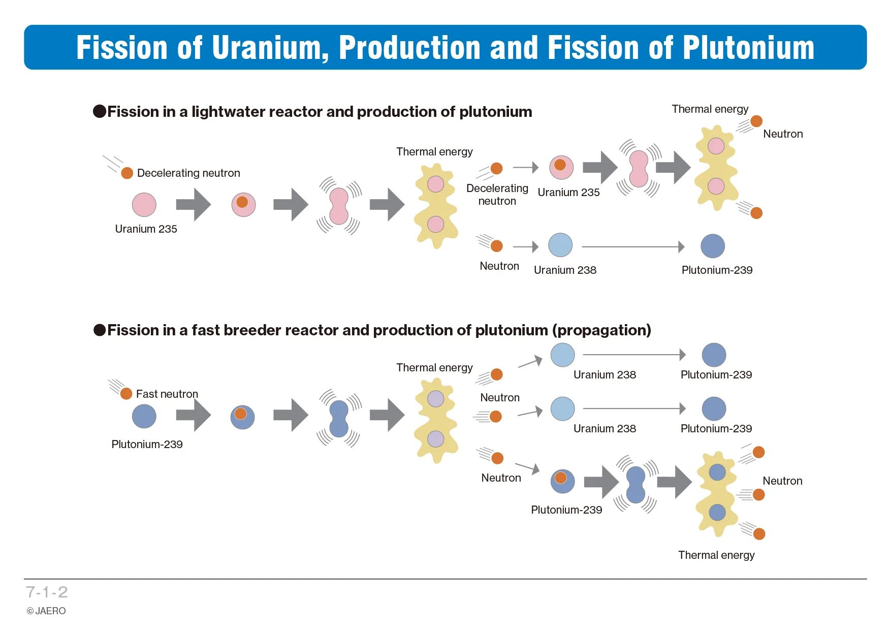 Деление плутония 239. Uranium 238 Uranium 235 and Plutonium 239. Образование плутония в реакторе. Распад плутония 239 схема. Fission перевод