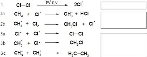Приморск өлкесі порно