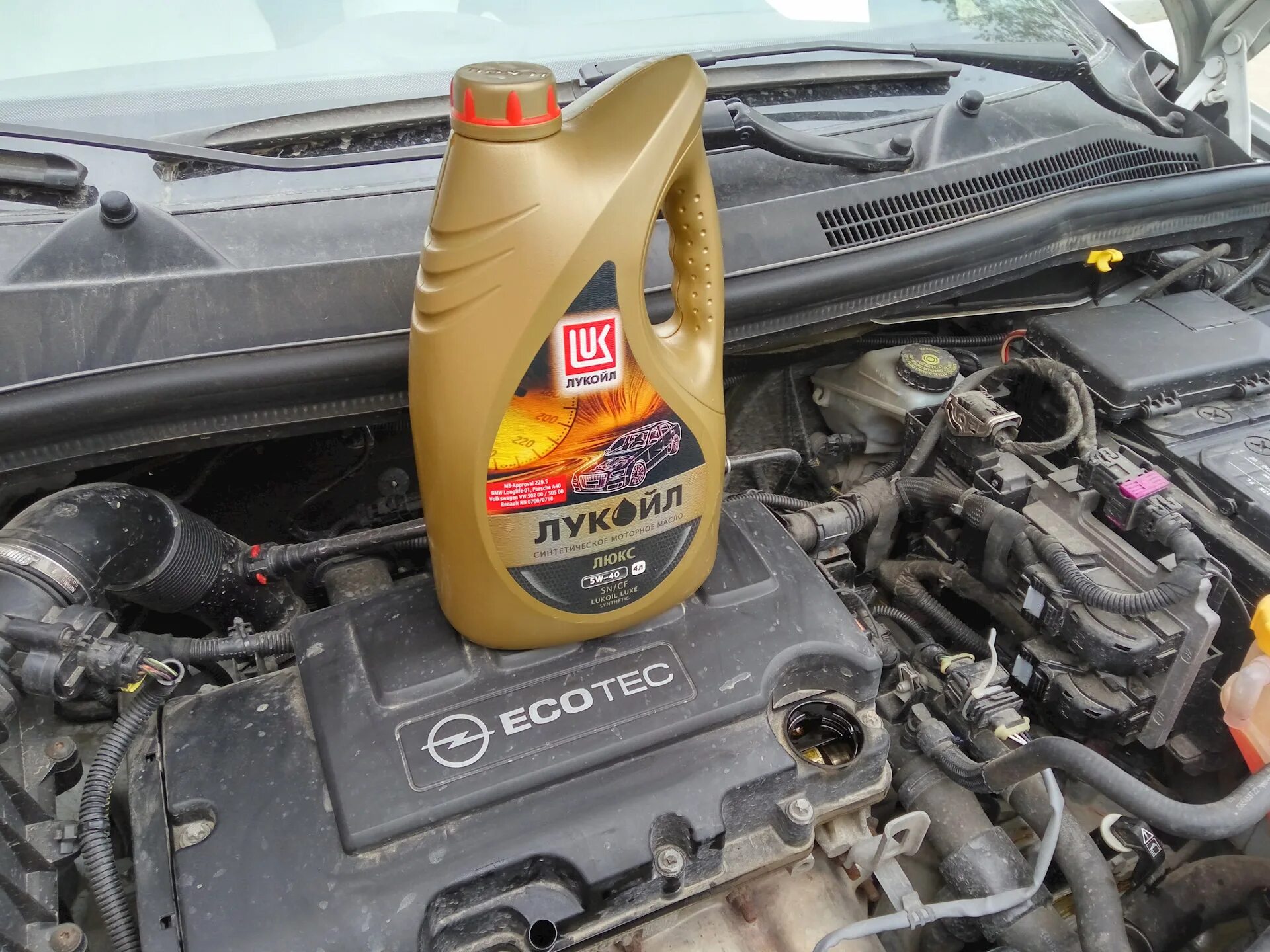 Какое масло заливают опель корса. Opel Corsa d масло в двигатель оригинал. Масло ДВС для Опель Корса. Масло для двигателя Опель Корса 1.4 автомат. Замена масла Опель Корса.