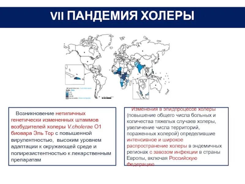 Территория распространения заболеваний называется. Распространенность холеры. Холера эпидемиология презентация. Особенности седьмой пандемии холеры. Холера схема заболевания.