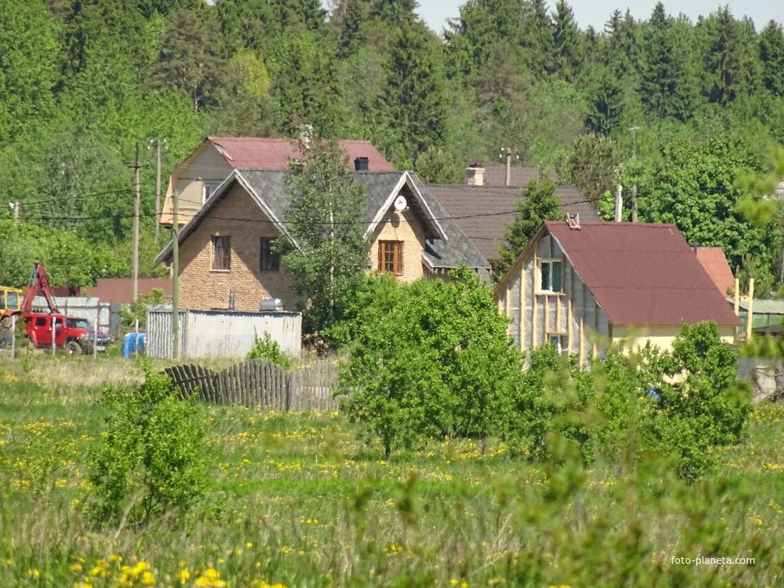 Купить дом волосовский ленинградская область. Деревня Хотыницы Волосовский район. Деревня волна Волосовский район Ленинградская область. Деревня Сосново Волосовский район. Деревня волна Волосовского района Ленинградской.