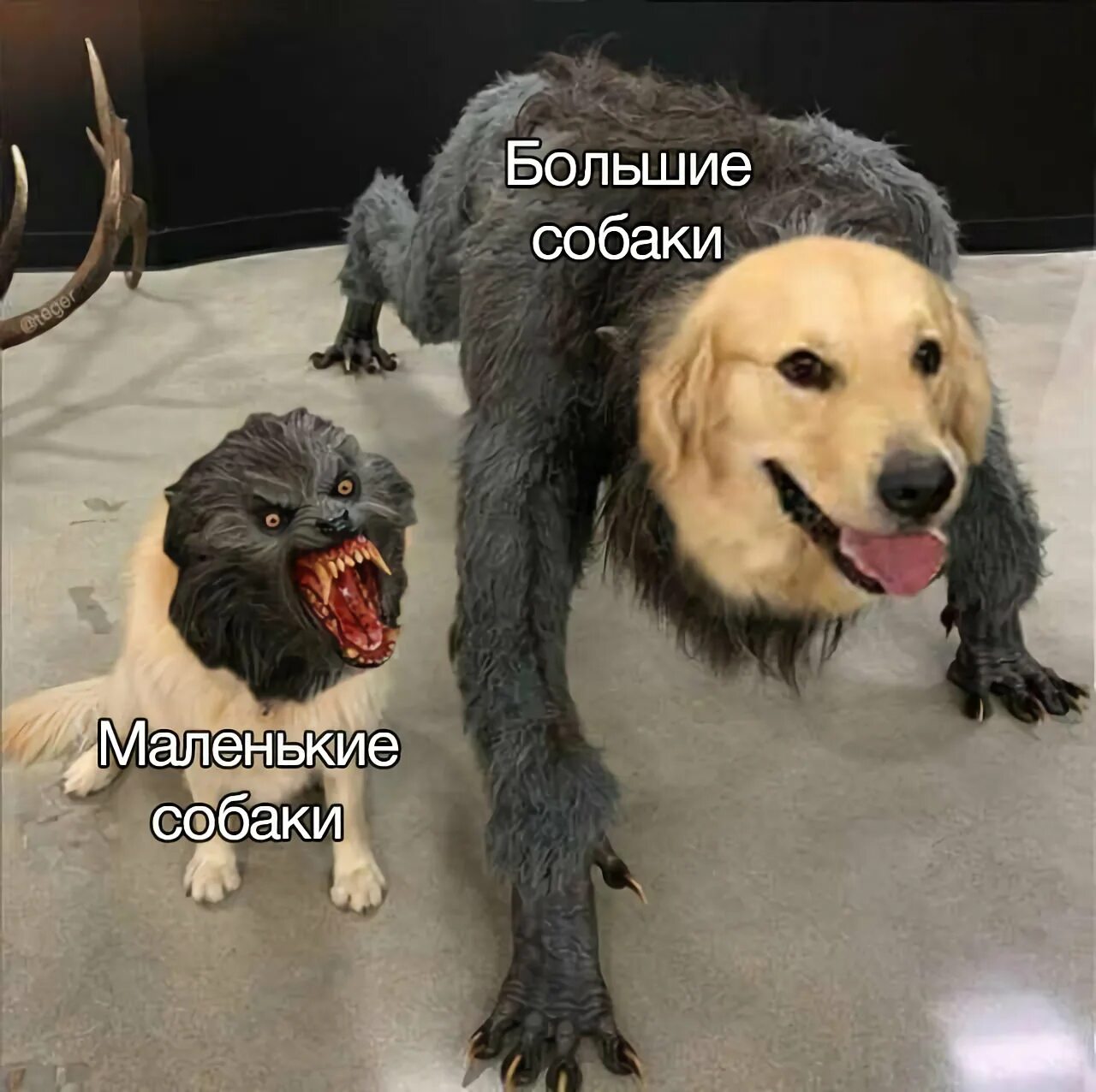 Сильнейший слабейший мем