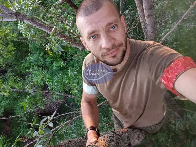 Дмитриевич симферополь. Дмитриевич симферополь