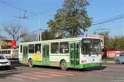 Автобус 273 пушкин красное село расписание. Икарус 280 в спб 93 маршрут. 142 автобус. 481 автобус красное село. 481 автобус красное село.