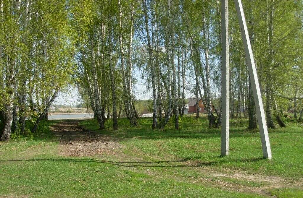 Погода сосновка искитимский. Фап сосновка. Погода сосновка искитимский. Погода сосновка искитимский. Село сосновка хабаровск.