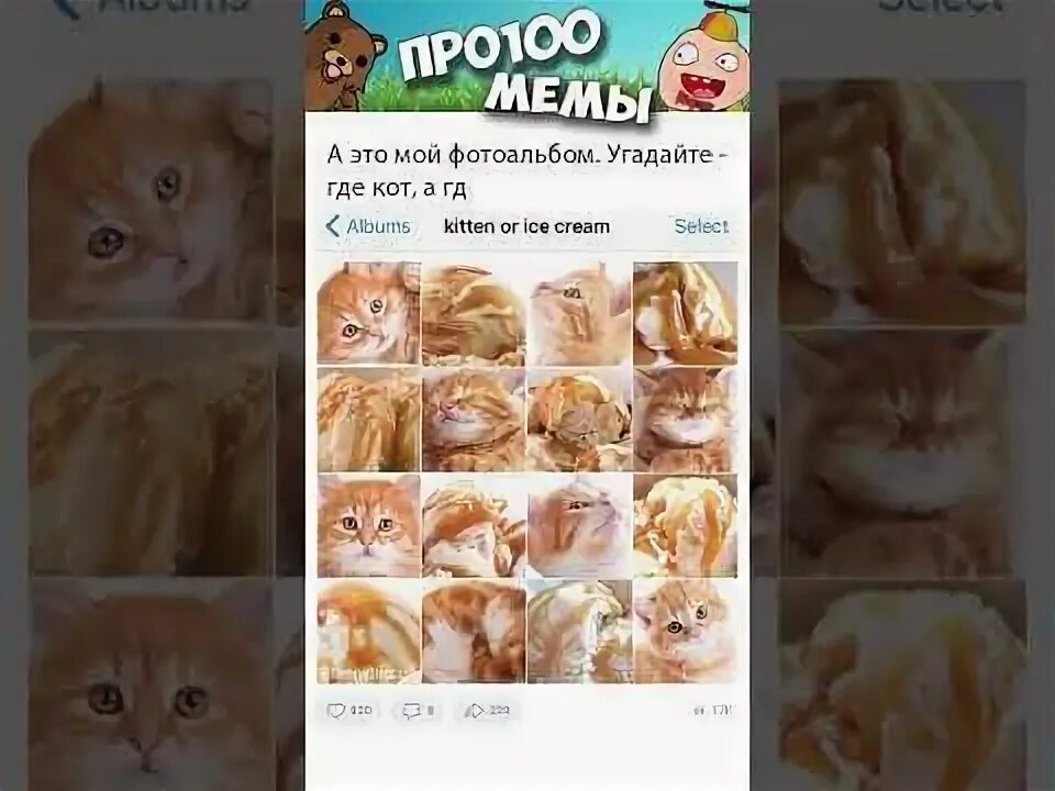 Смешные мемы с котами с озвучкой #мемы #приколы #юмор #лютыеприколы #мем #мемчики #мемыскотами #смешныекошки #сме