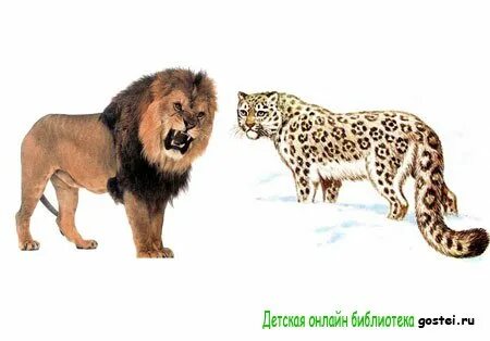 Басня лев и барс