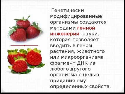 Чем отличается генетическая селекция и генная инженерия