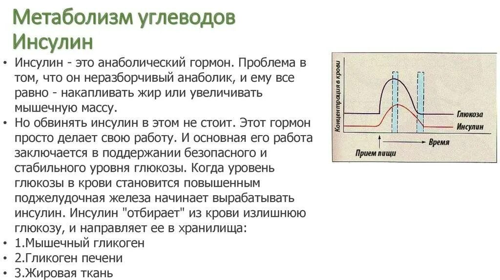 Инсулин и углеводы. Выброс инсулина. Скачок инсулина. Инсулин что делает с гликогеном. Голод после инсулина