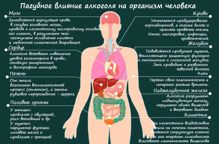 Что происходит после температуры. Отравление организма человека. Процесс отравления организма. Сильная интоксикация организма. Отравленный организм алкоголем.