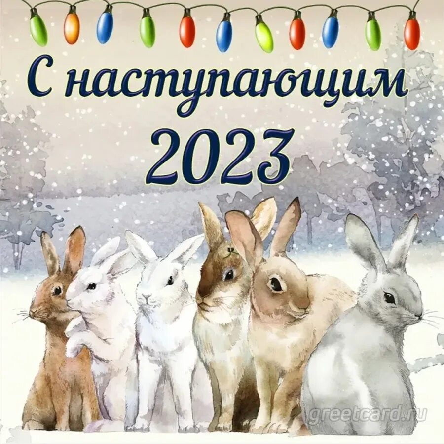 31 с новым годом 2024. С новым годом 2023. Новогодняя открытка с кроликом. Новогодние поздравления с наступающим. С наступающим новым годом картинки.