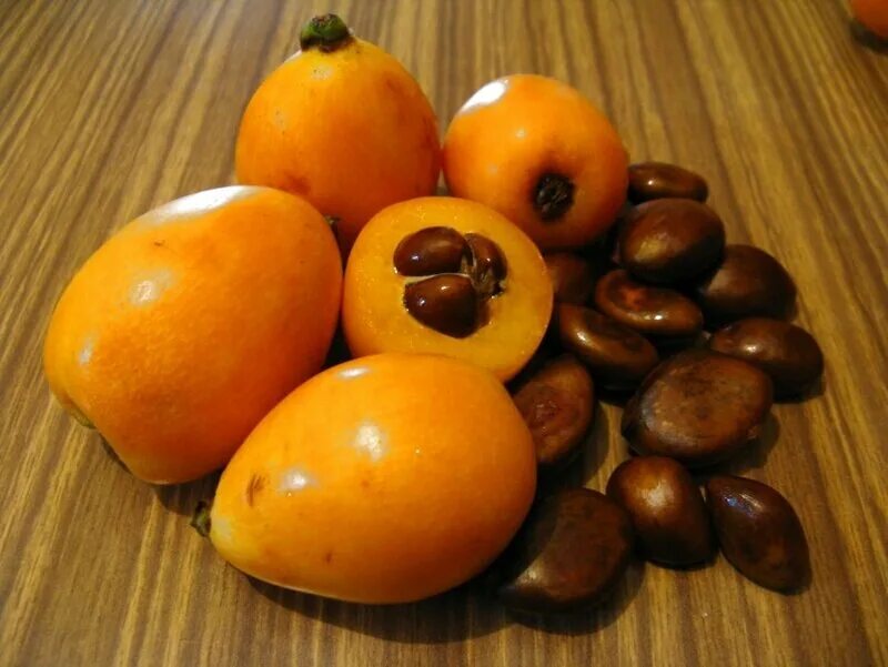 Мушмула в турции. Хурма персимон турция. Шесек мушмула. Мушмула крымская. Мушмула фрукт.
