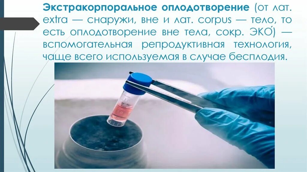 Искусственное оплодотворение презентация. Эко экстракорпоральное оплодотворение. Презентация эко оплодотворение. Метод экстракорпорального оплодотворения.