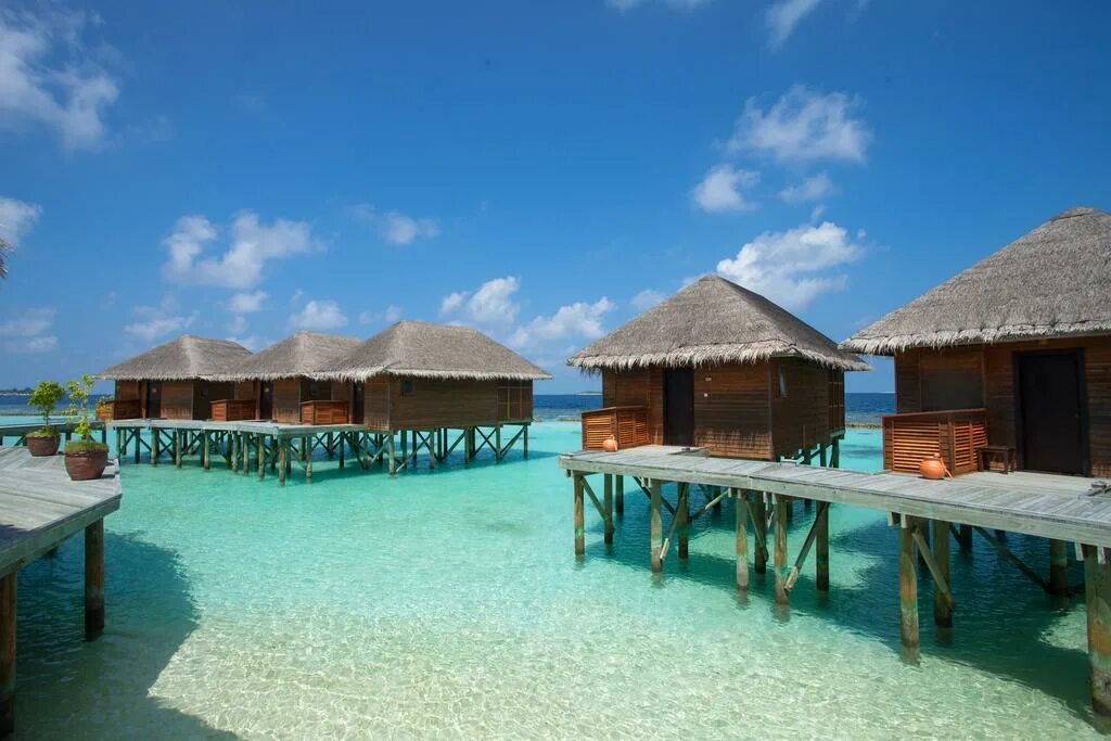 Дангети мальдивы. Остров дангети мальдивы. vakarufalhi island resort. дангети мальдивы фото. bandos island resort &amp; spa.