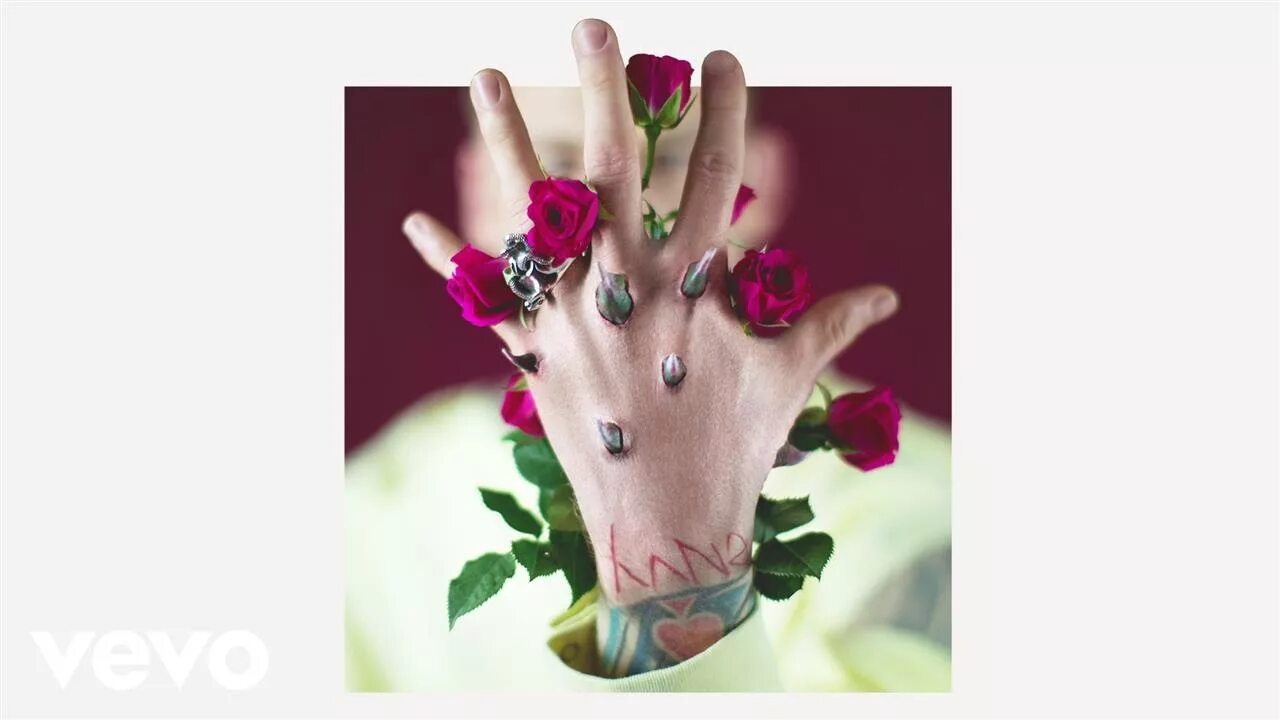 Mgk let me go. Mgk bloom. mgk обложки альбомов. machine gun kelly bloom. machine gun kelly альбомы.