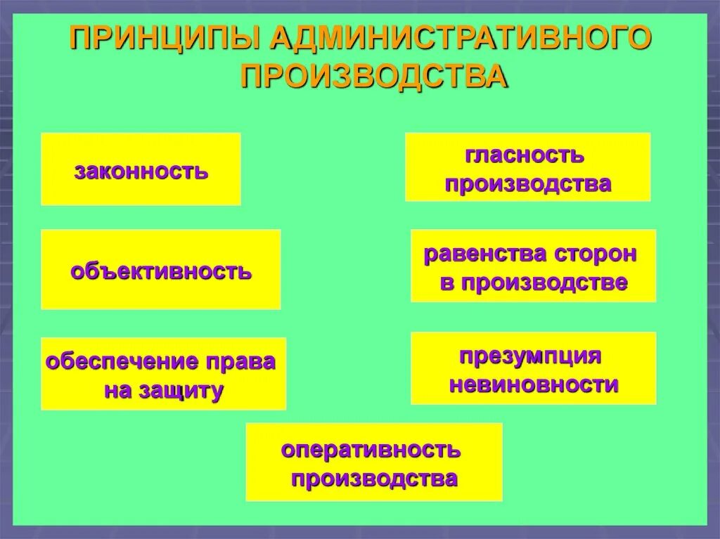 Принципы административного производства. Принципы производства по делам об административных правонарушениях. Административное производство. Принципы производства КОАП.