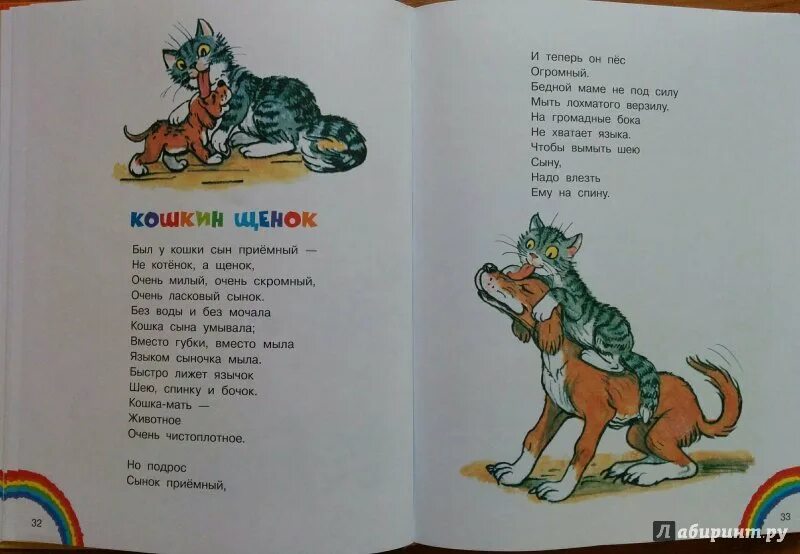 Стихотворение кошкин сынок. Берестов щенок стихотворение. Берестова "кошкин щенок". В. Иллюстрация к стихотворению кошкин щенок берестов.