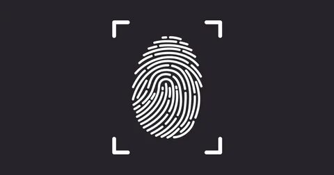 Fingerprinting javascript