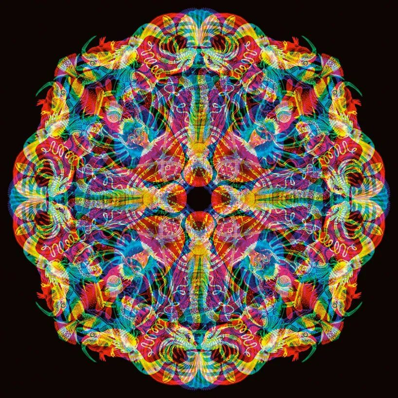 Калейдоскоп идей. Веселые упражнения для детей. Калейдоскоп идей. Надпись театральный калейдоскоп. Калейдоскоп идей.