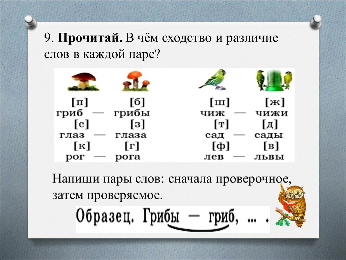 Парные согласные по глухости 2 класс. Парные согласные по звонкости и глухости 1 класс. Звонкие и глухие согласные в конце слова.1 класс школа России. Начальная школа парные звонкие и глухие согласные. Звонкие согласные слова примеры слов