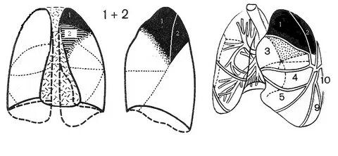 Сегмент с2