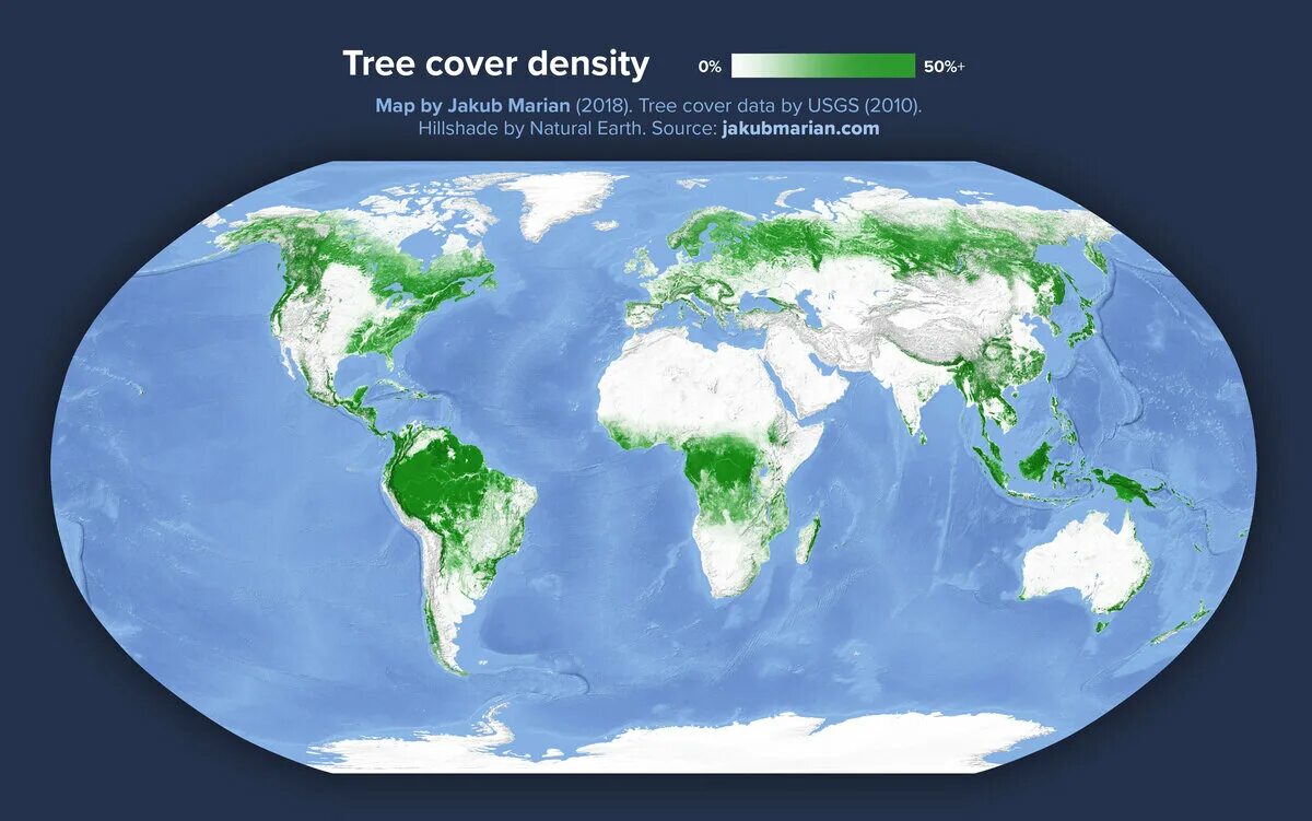 В каких странах есть леса. Карта лесов планеты.