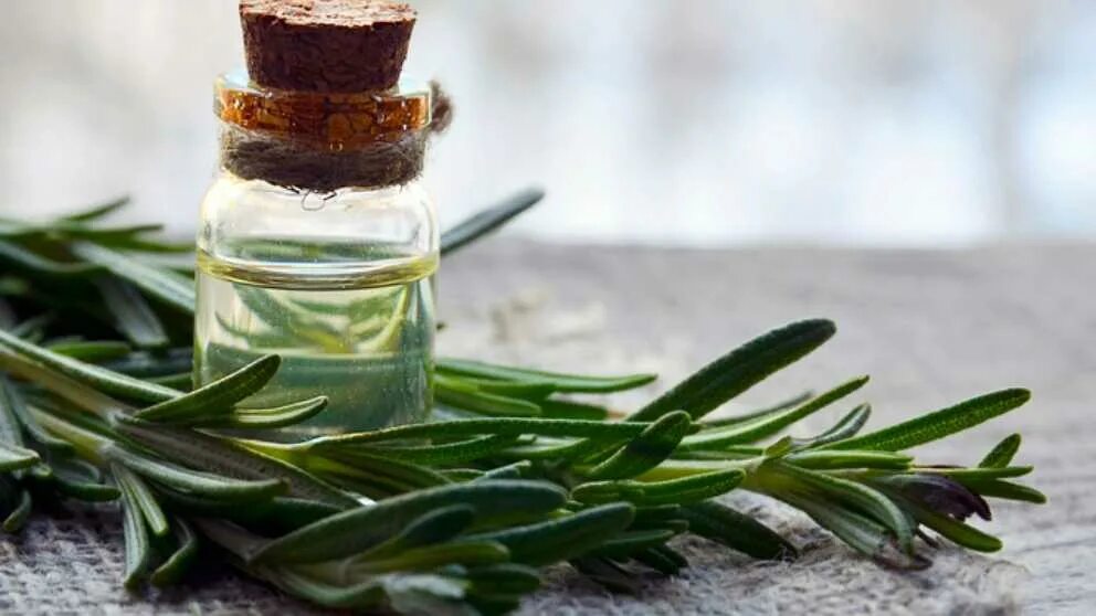Янг Ливинг Эфирное масло Мирры/ Myrrh Essential Oil Young Iiving, 15 мл купить