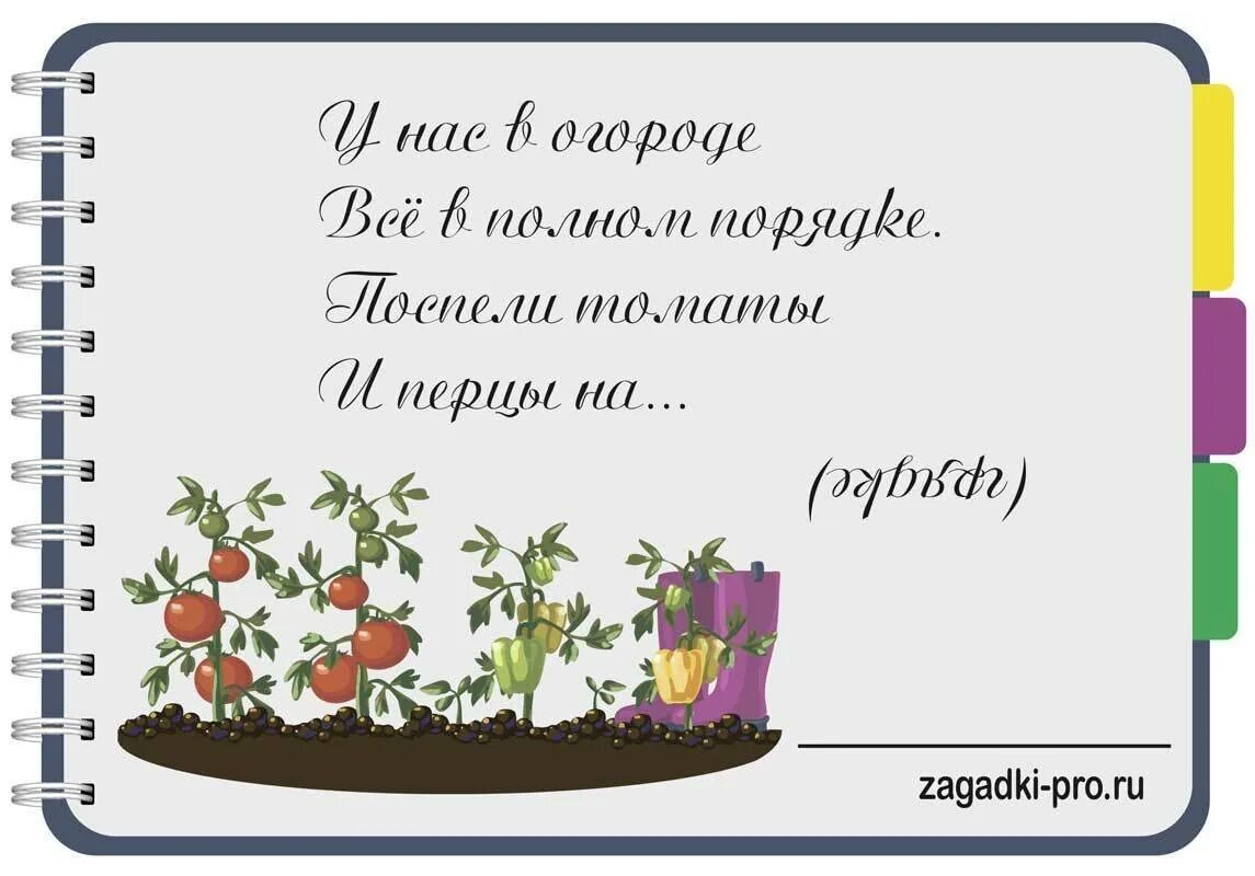 Загадки про огород. Загадка про теплицу. Загадки на тему огород. Загадки с грядки. Стихотворение про огород