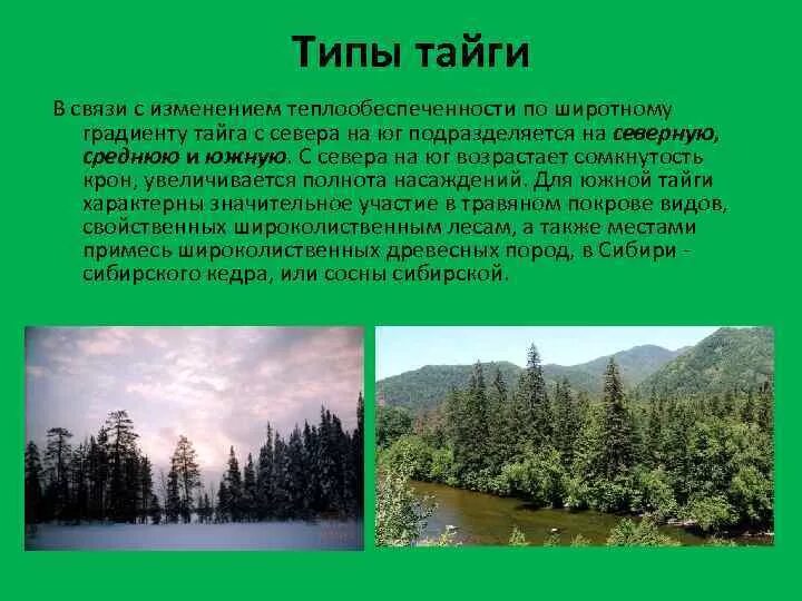 Какая характеристика в тайге. Типы тайги. Тайга Тип леса. Виды таежных лесов. Климат тайги.